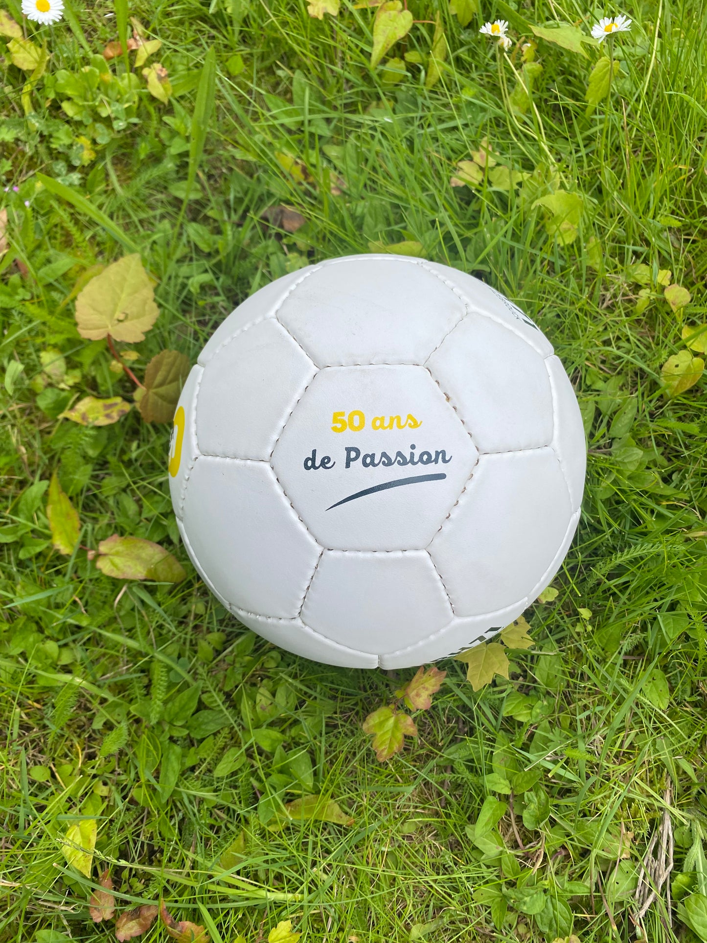WH015 / HANDBALL PROMO