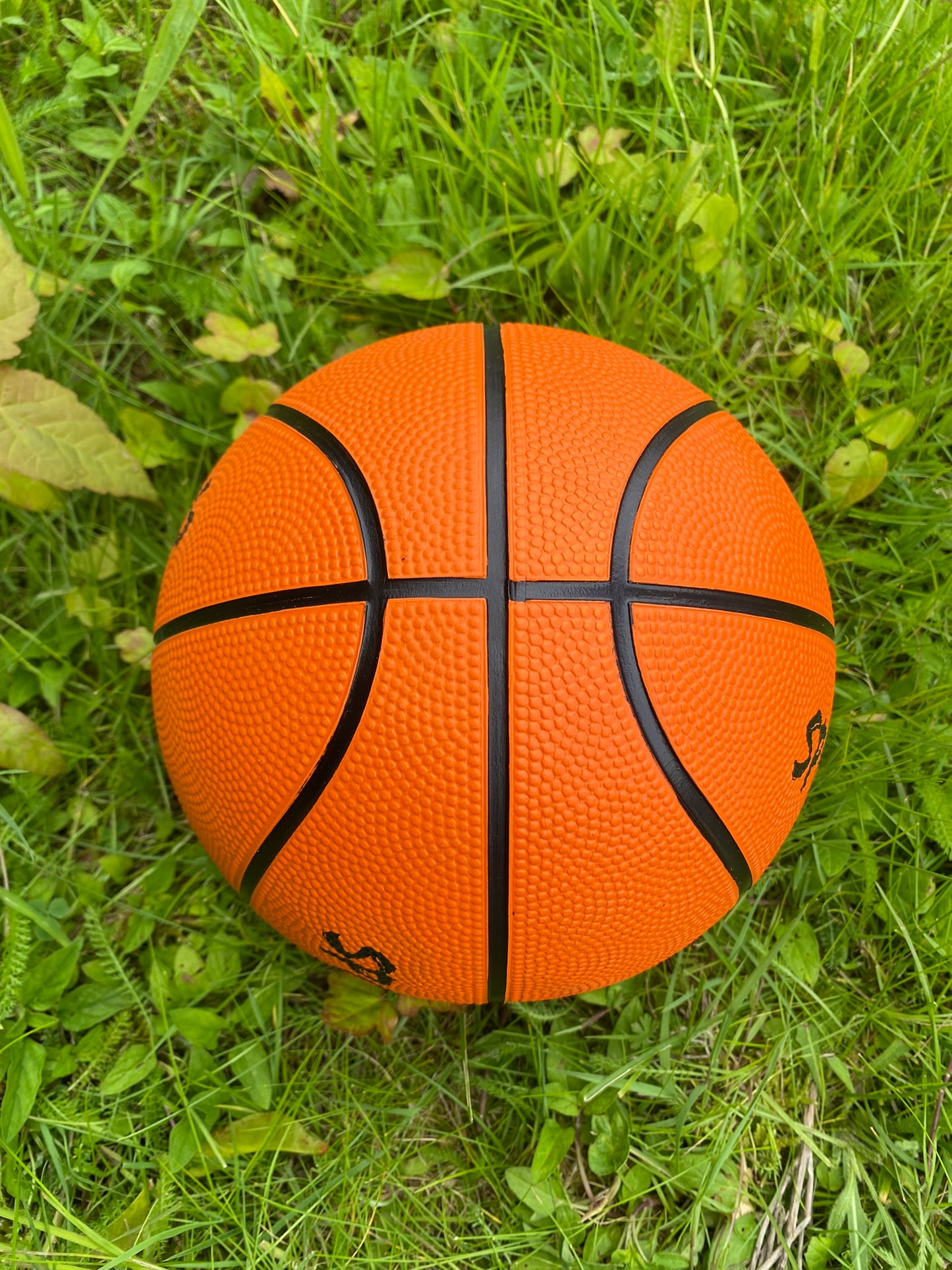 WB012 / MINI BASKETBALL