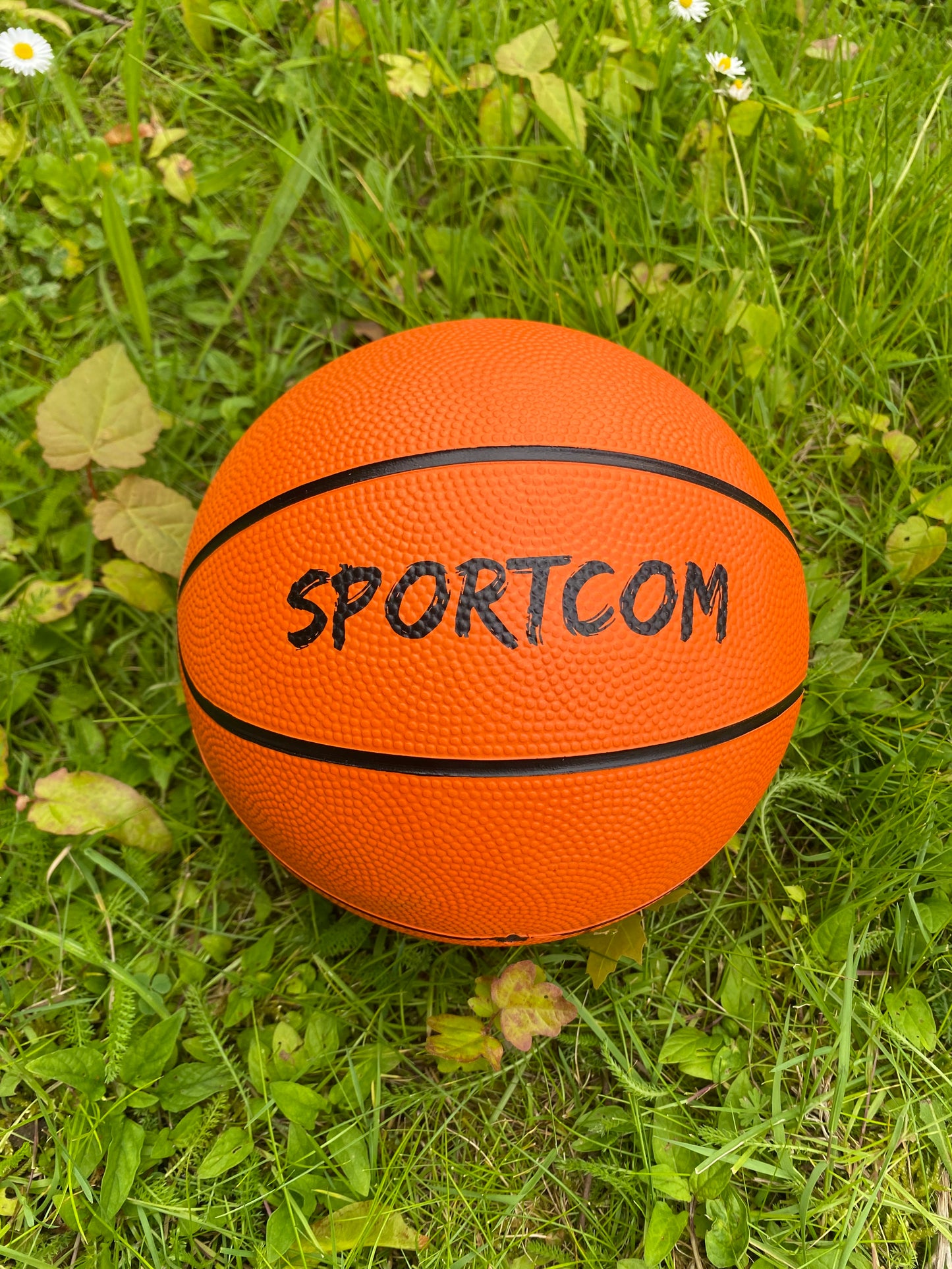 WB012 / MINI BASKETBALL