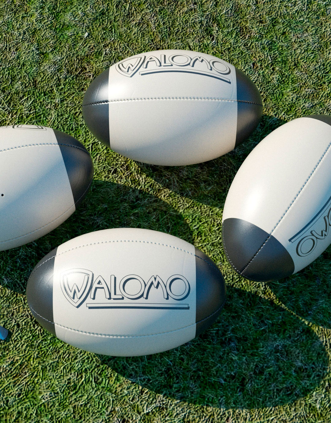 WR055 / BALLON RUGBY PREMIUM